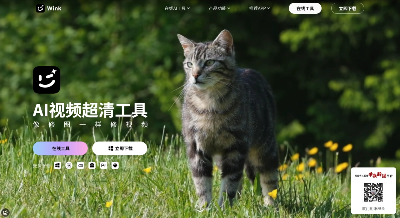 Wink官网-画质修复电脑版-AI视频超清工具-像修图一样修视频 - wink.cn